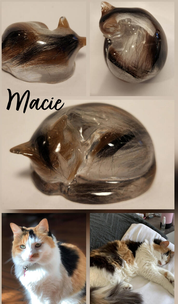 A photo collage of my cast of Macie and real life photos for comparison.