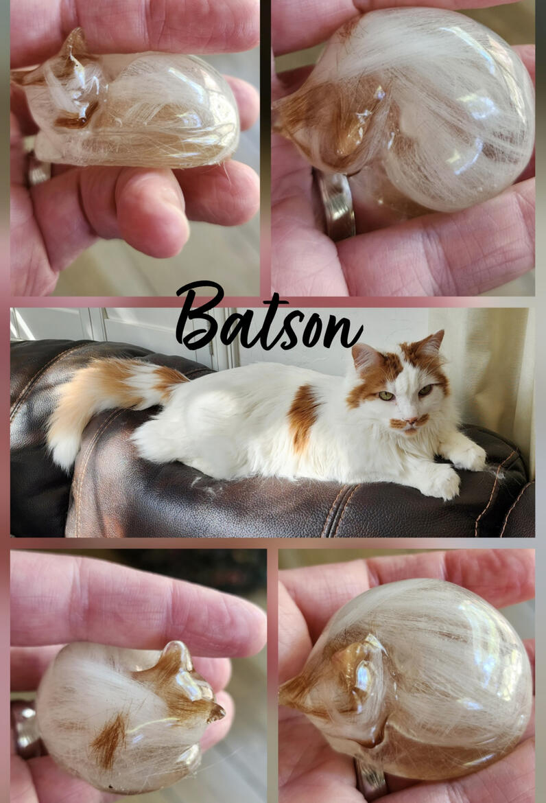 A photo collage of my cast of Batson and real life photos for comparison.
