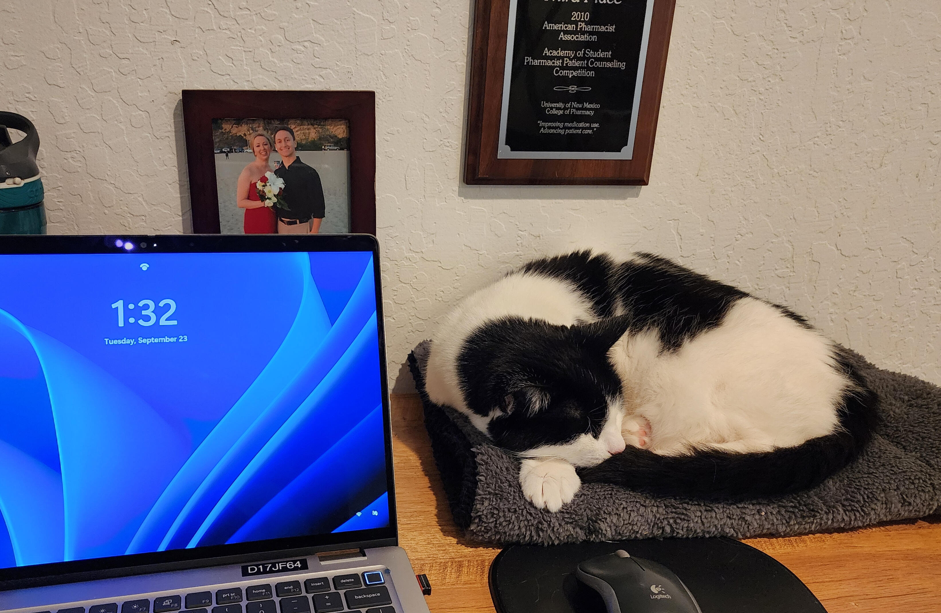 Wheeler asleep on the desk